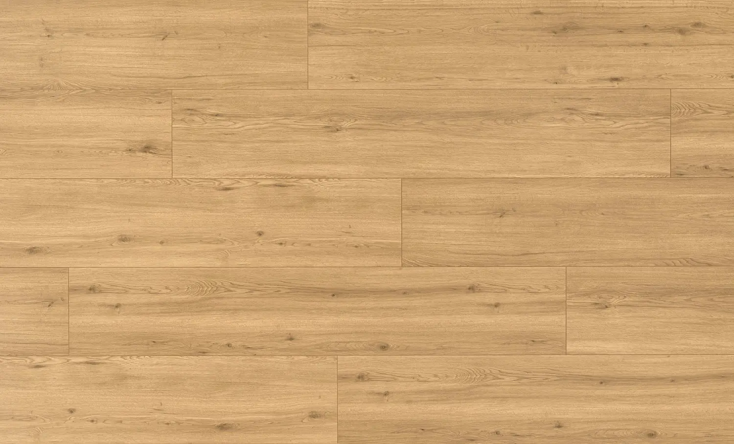 Radford Oak 12mm AC5 Laminate