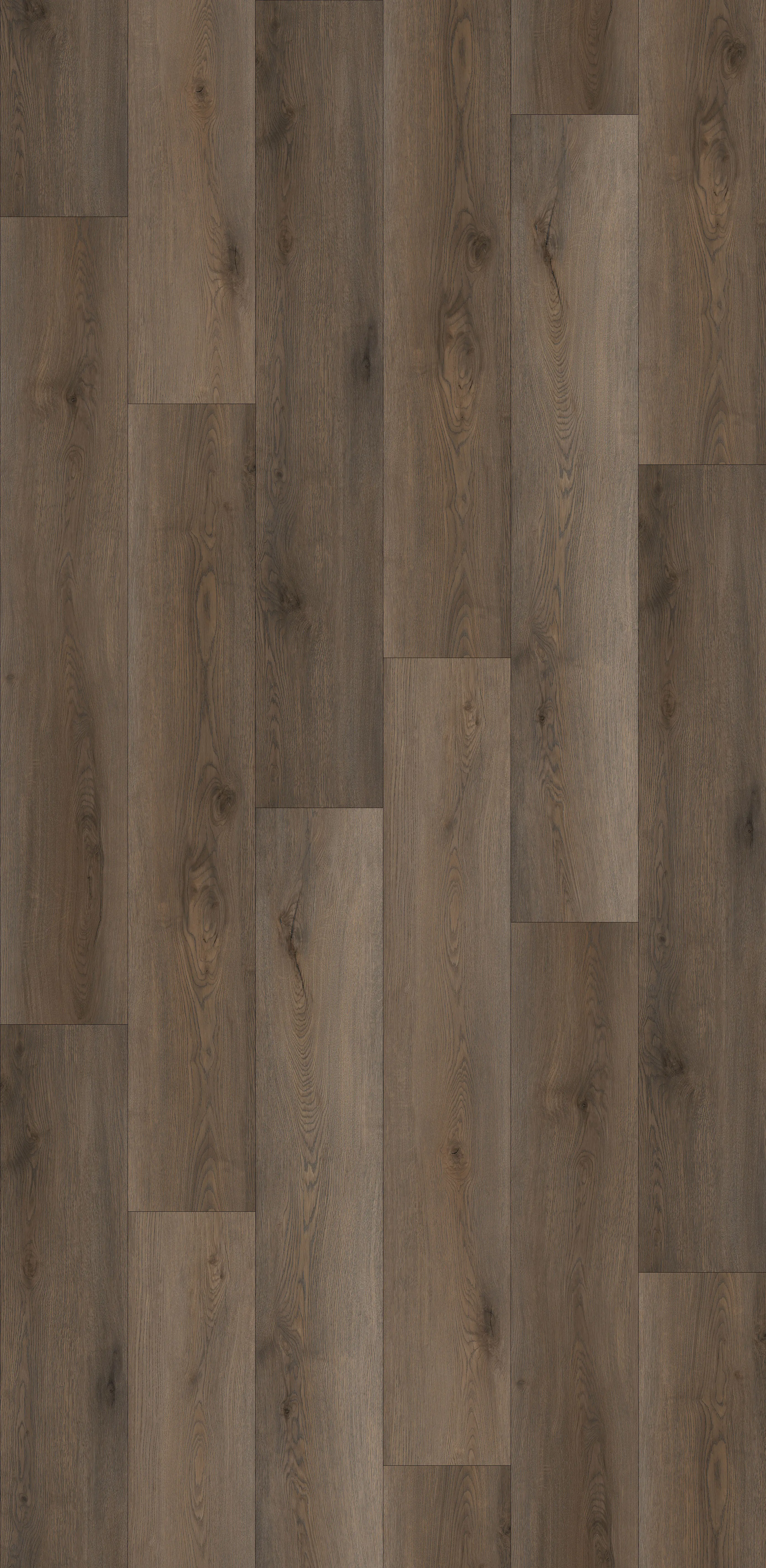 Belmont Oak 7mm