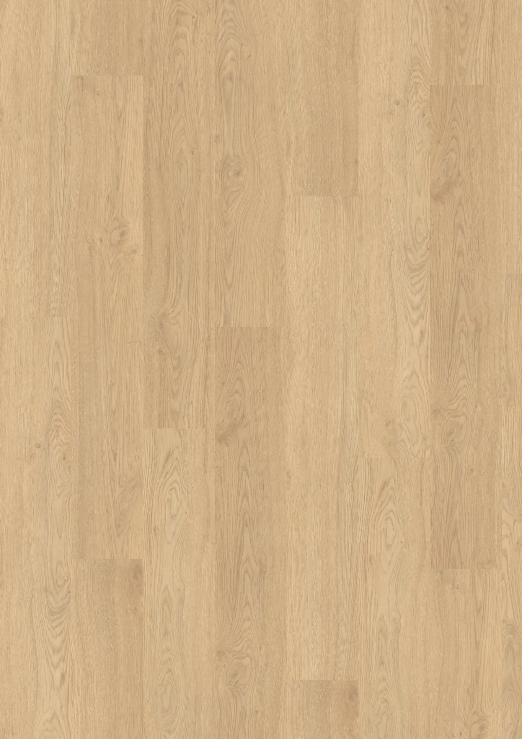 Swinley Oak 8mm Laminate