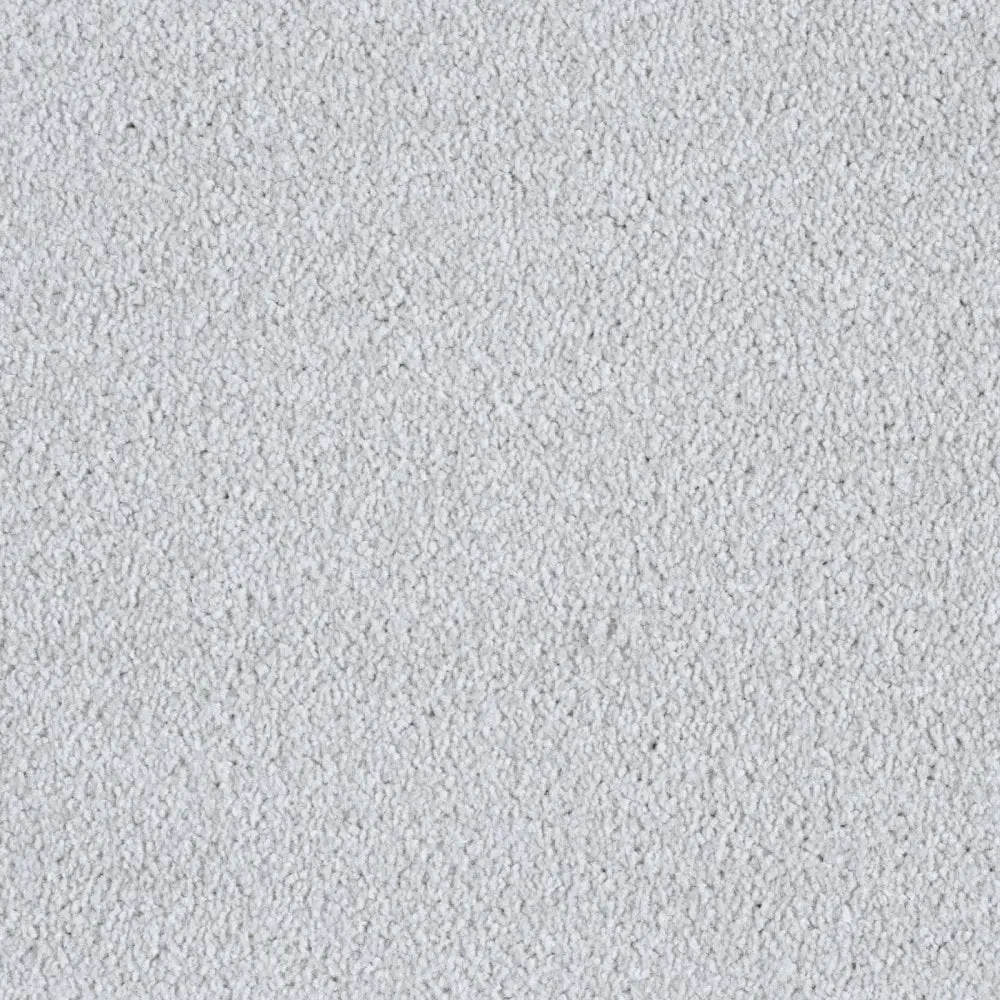 Minister Twist - Arctic