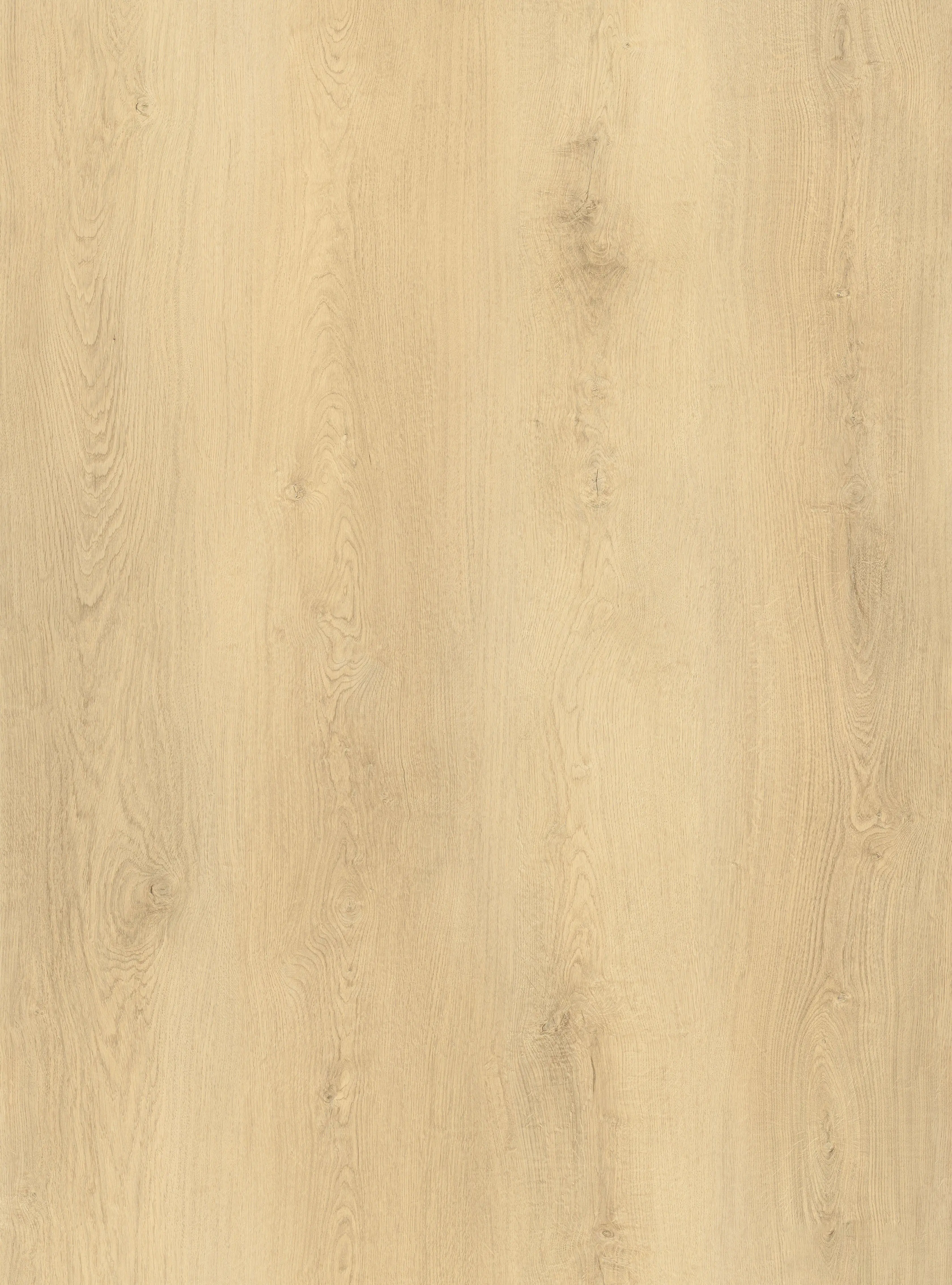 Champagne Drift Oak 5mm SPC Click