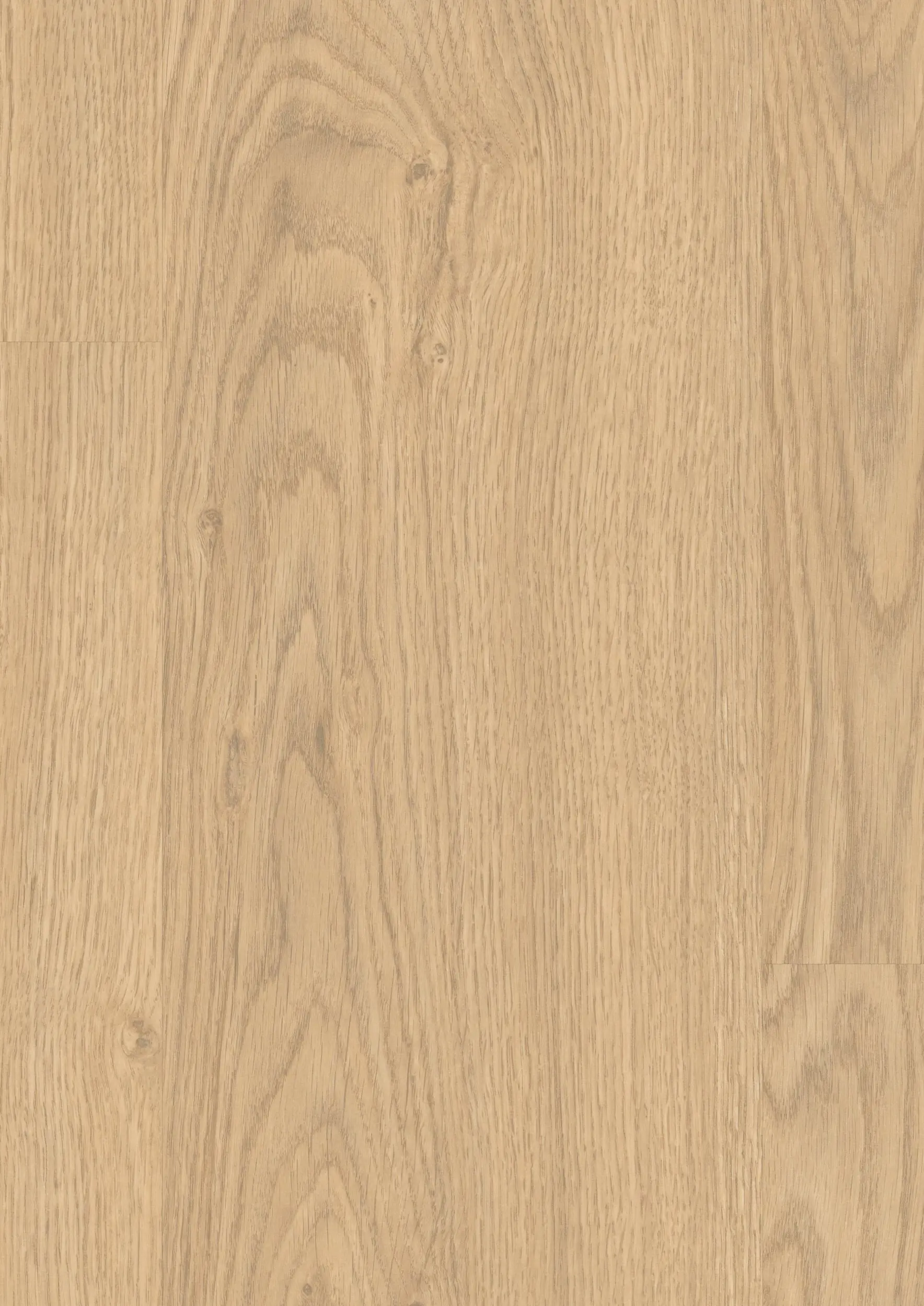 Swinley Oak 8mm Laminate