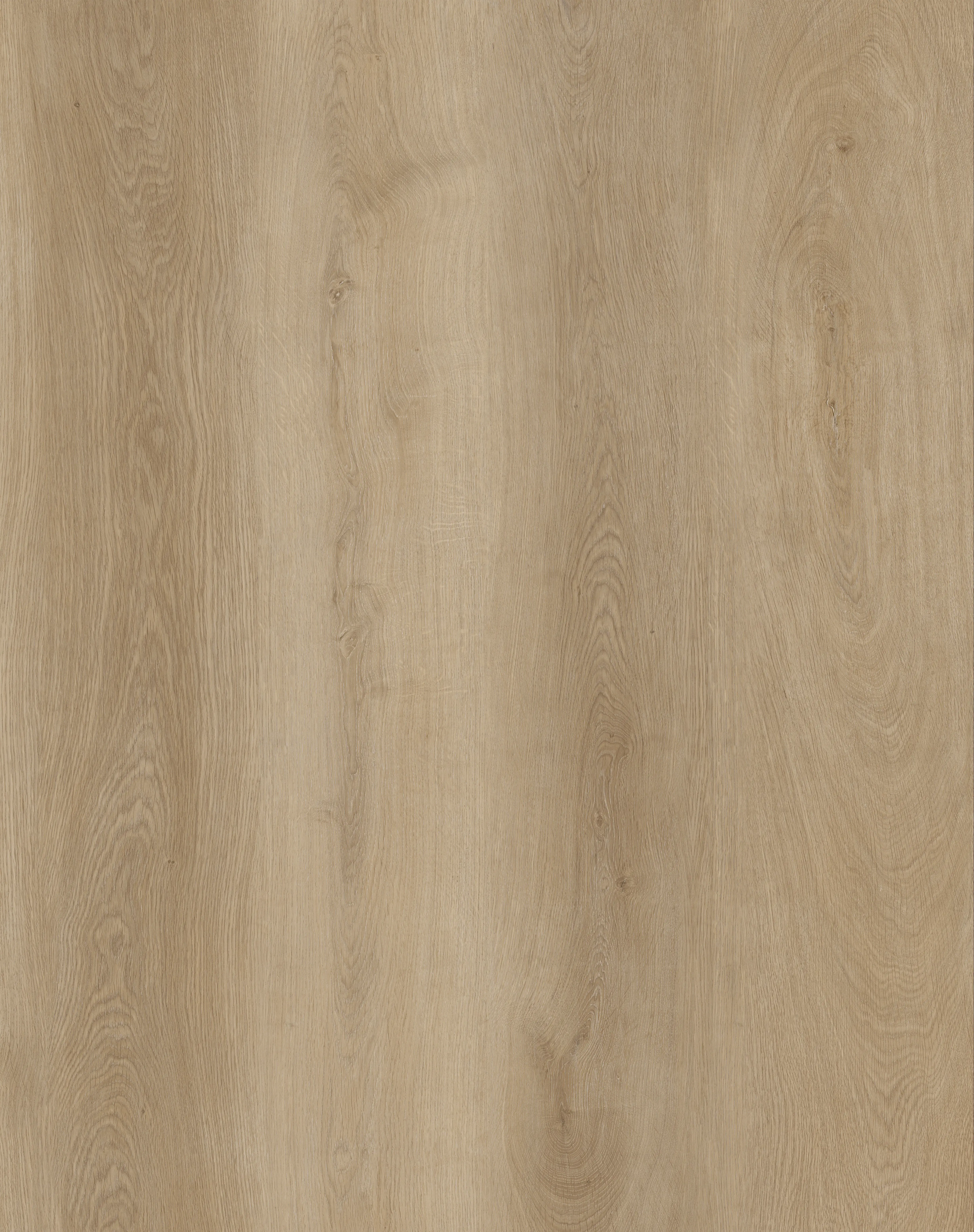 Sandstone oak 2.5mm LVT
