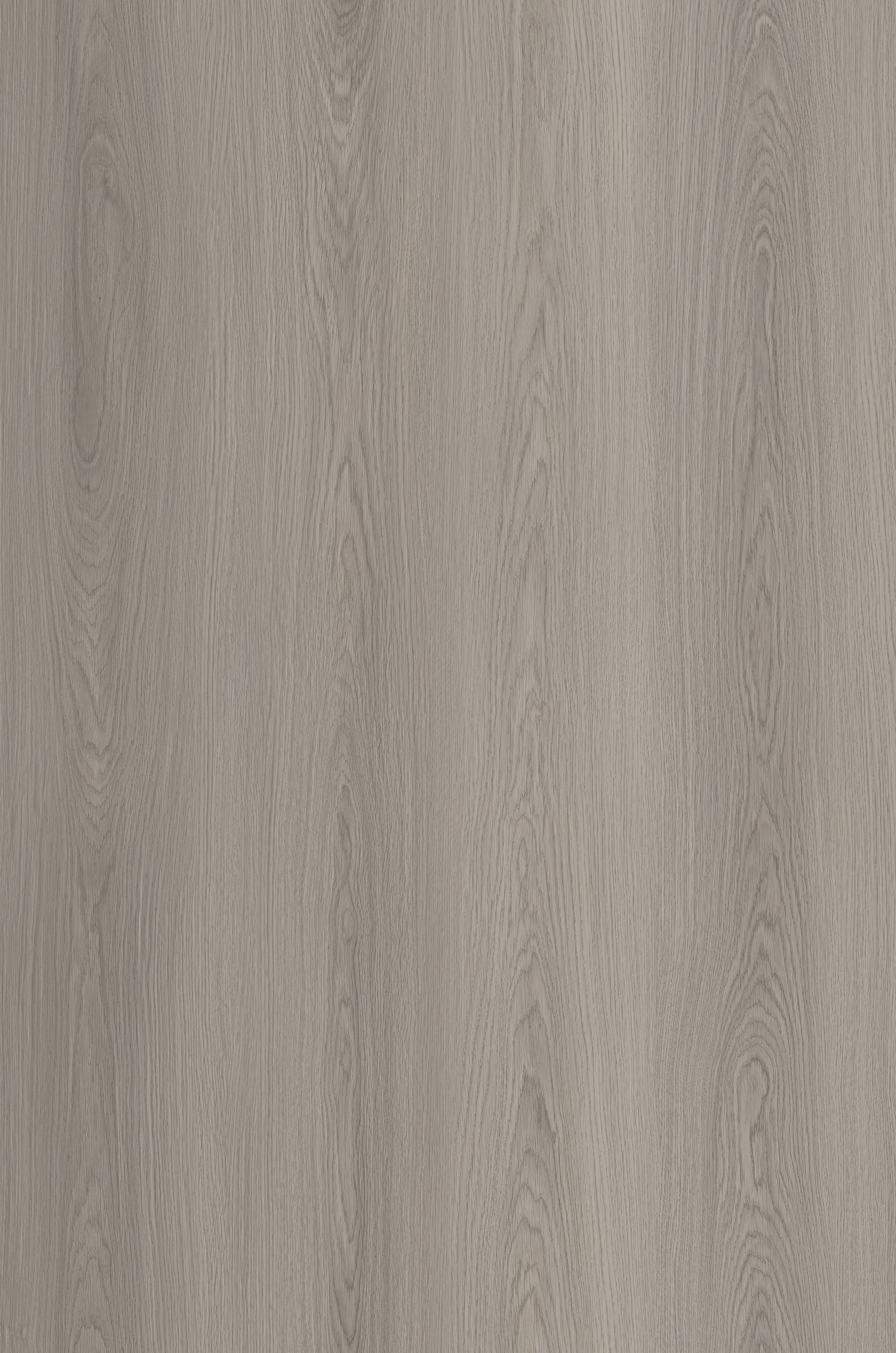Classic Grey Oak 4.4mm SPC Click