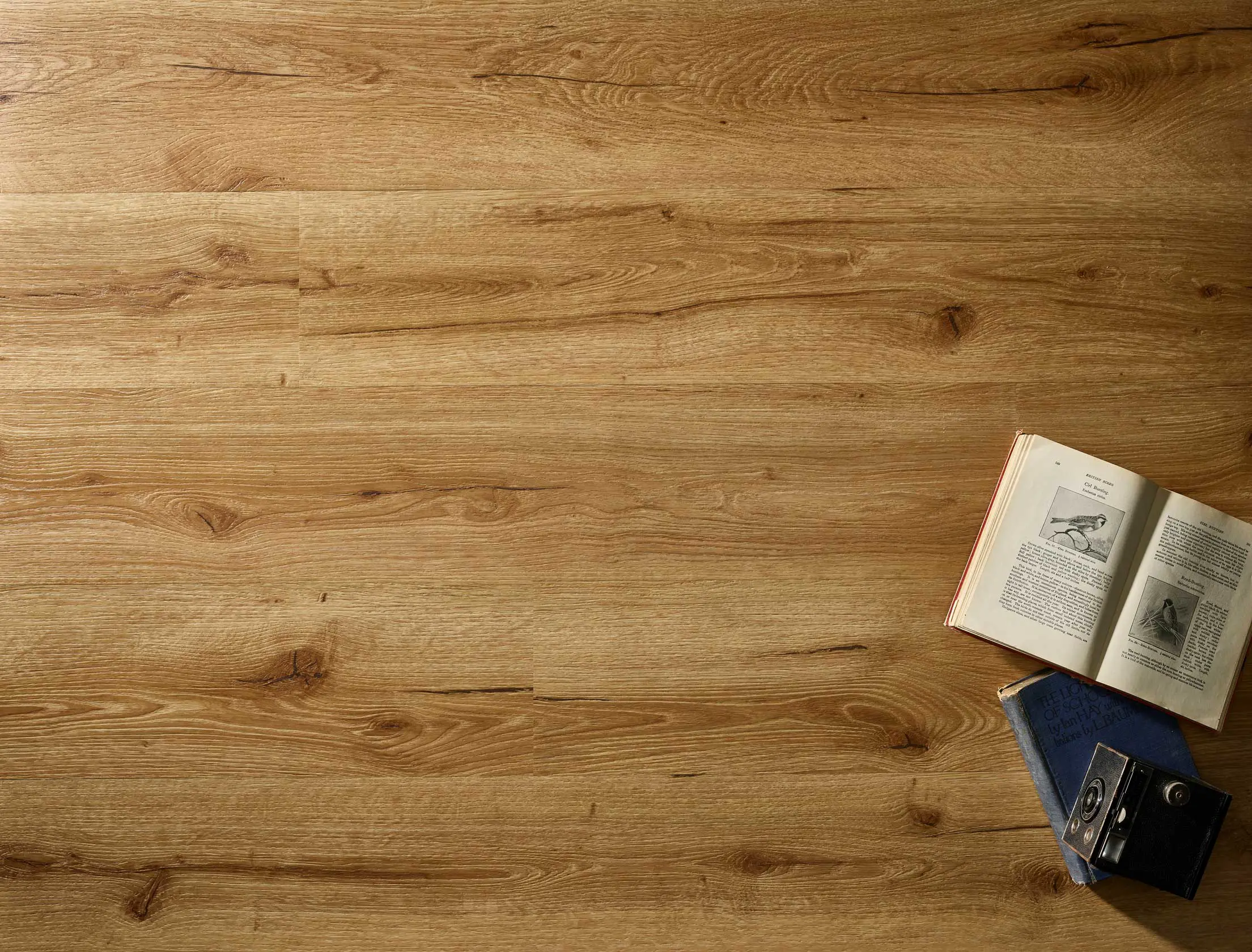 Classic Old Oak Embossed Dryback LVT