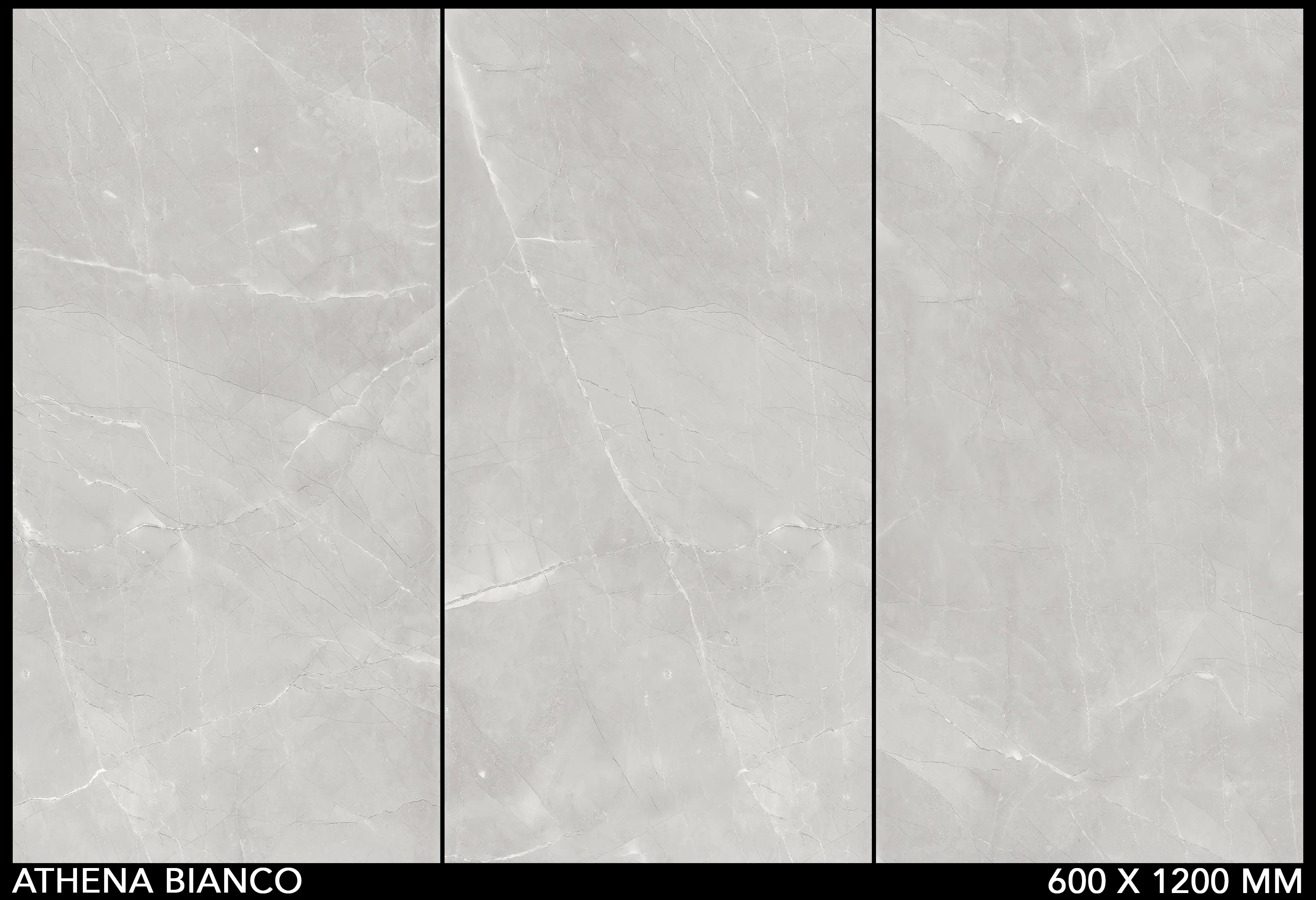 Athena Bianco Floor & Wall Tile - Porcelain 600x1200mm