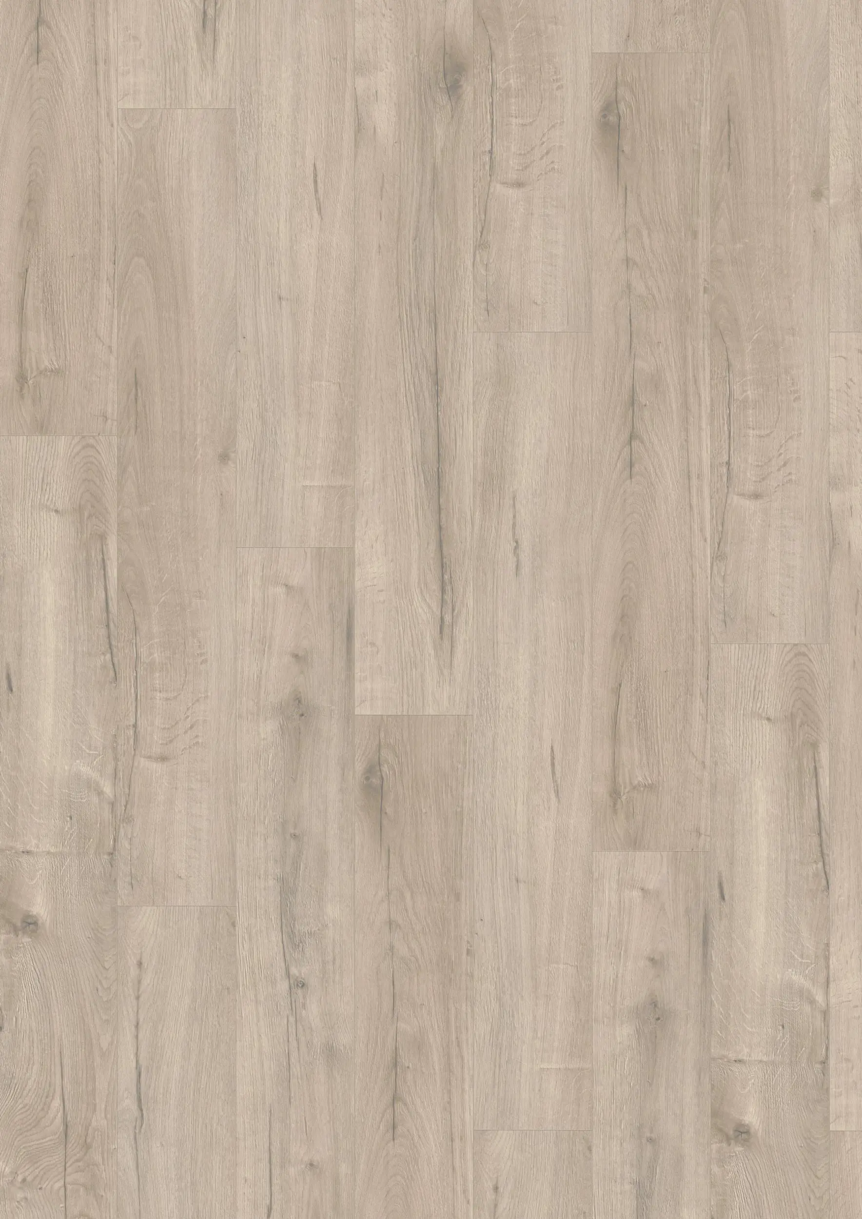 Chalkney Oak 8mm Laminate