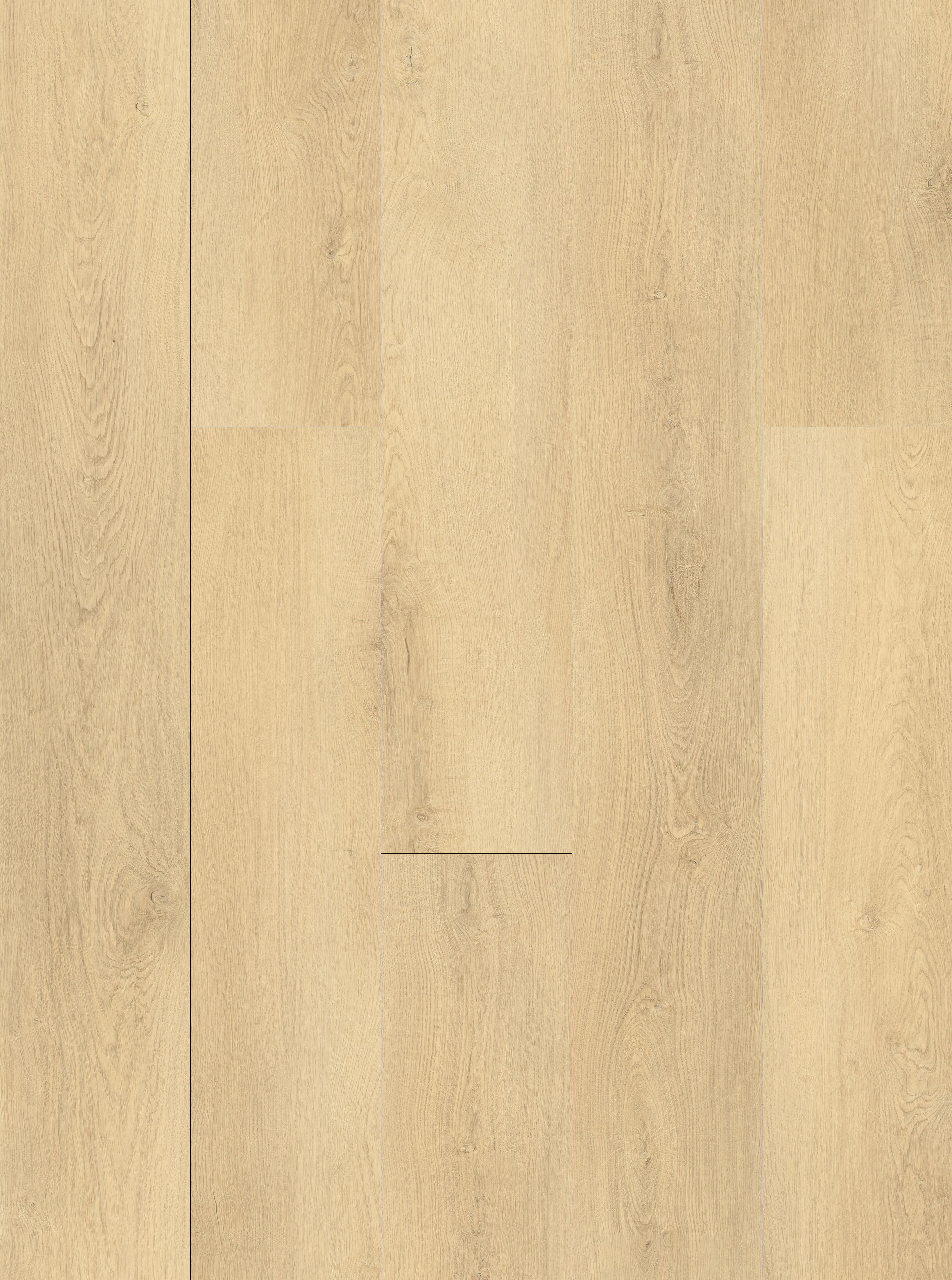 Champagne Drift Oak 5mm SPC Click