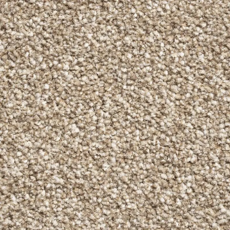 New York Elite - Biscuit