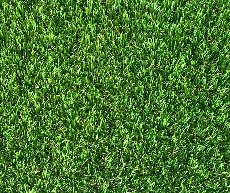 Augusta 38mm Artificial Grass