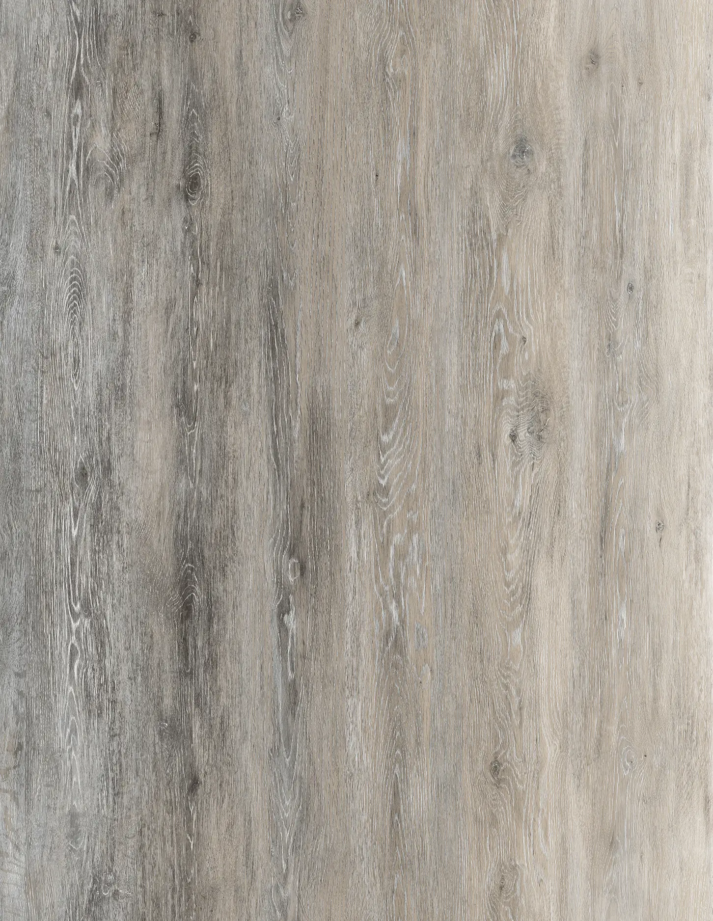 Silver Birch 2mm LVT