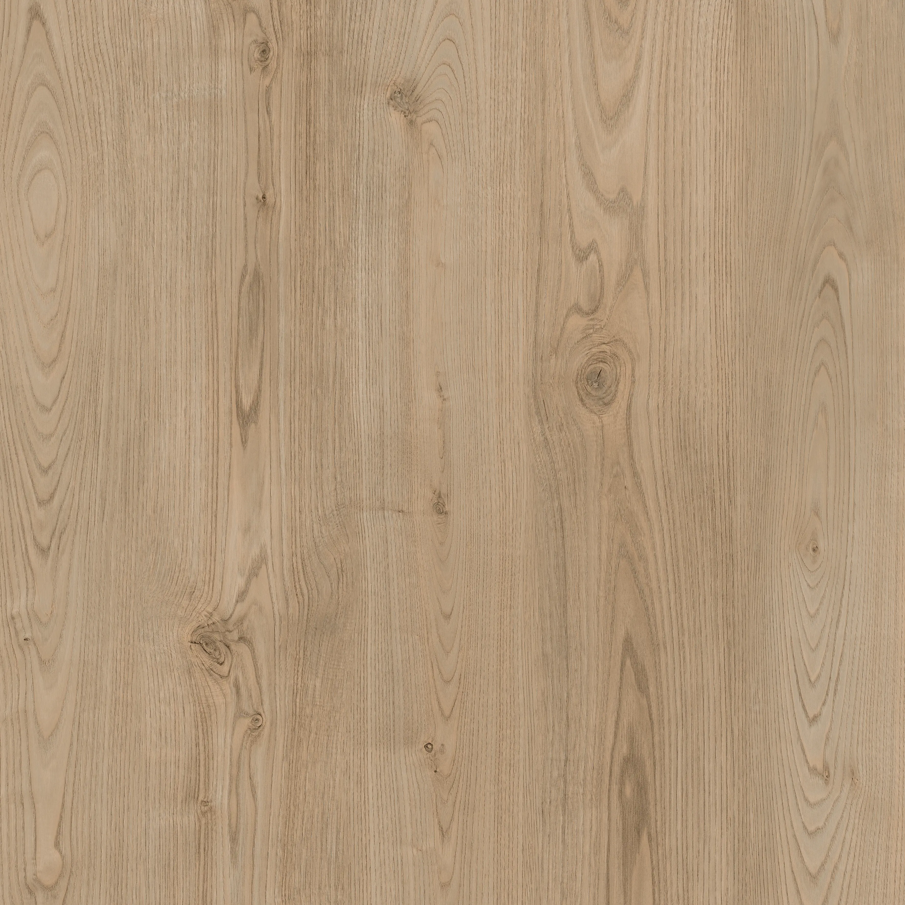 Loft Natural Oak Dryback LVT