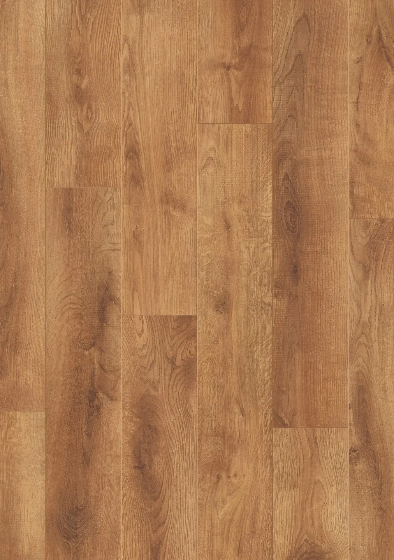 Sunshine Oak 8mm Laminate Flooring