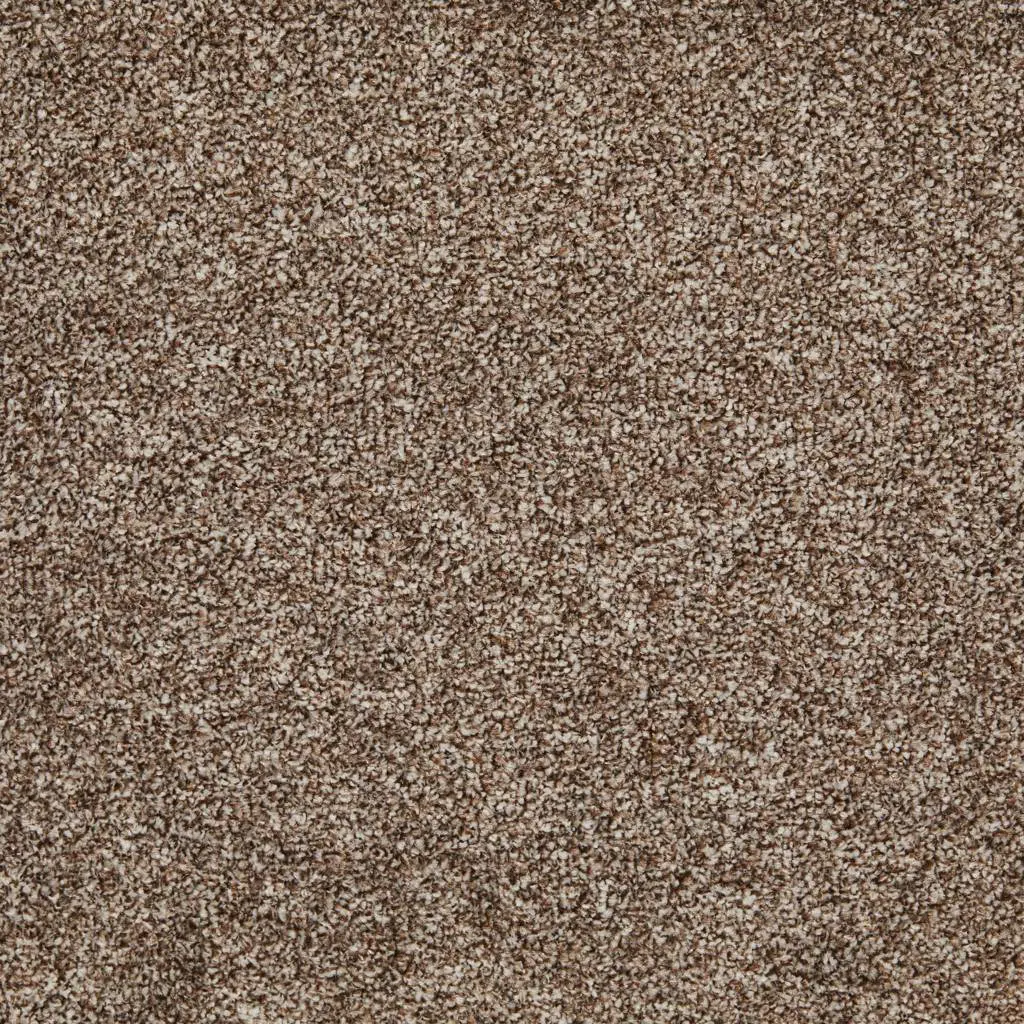 Bellini Twist - Biscuit