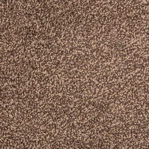 Alicante - Chocolate Chip