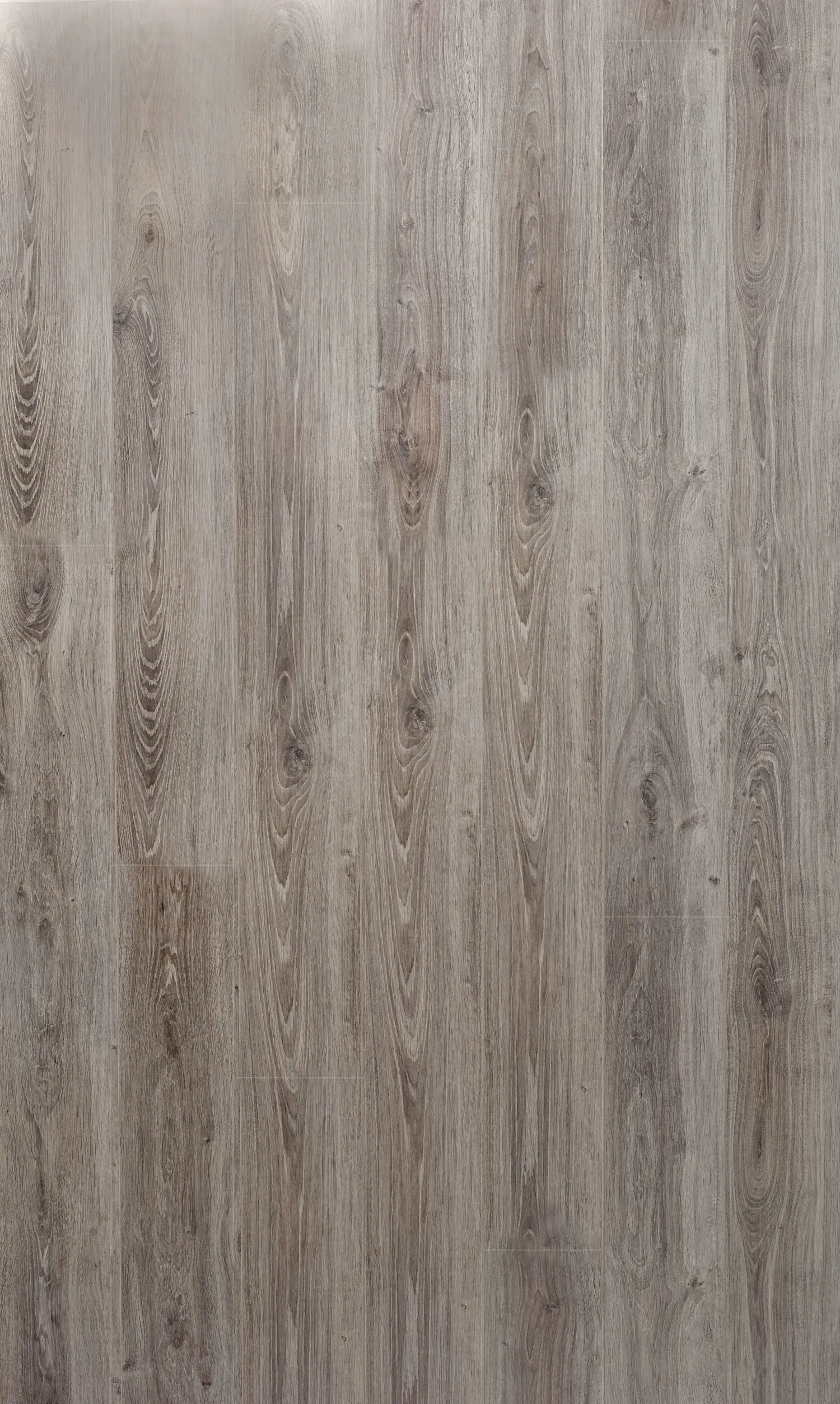 Brooklyn Oak 8mm Laminate