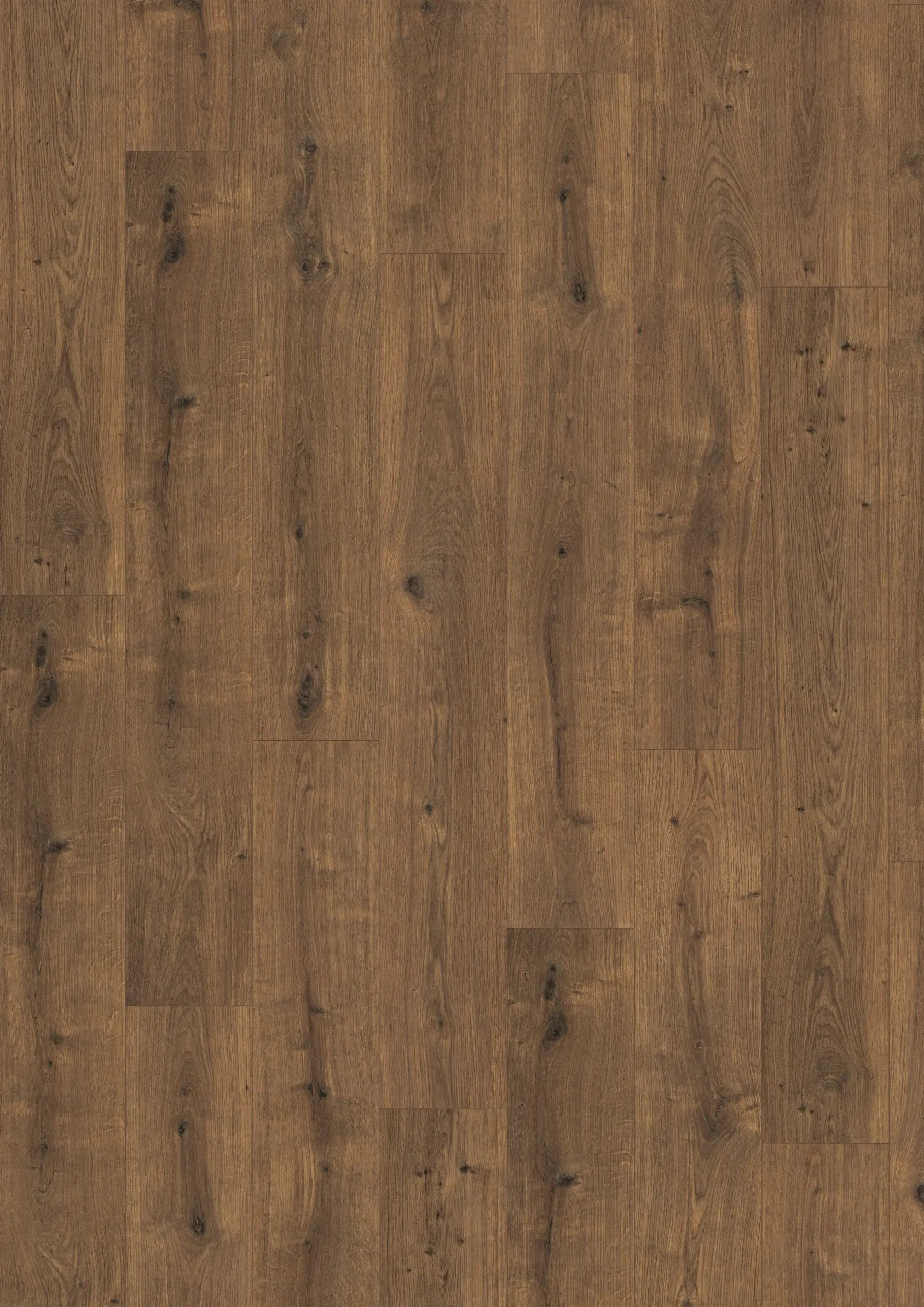Bernwood Oak 8mm Laminate