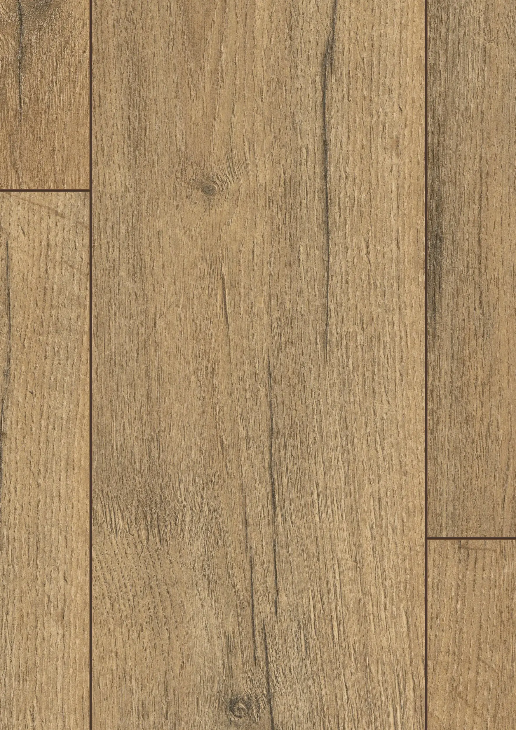 Kielder Oak 8mm Laminate