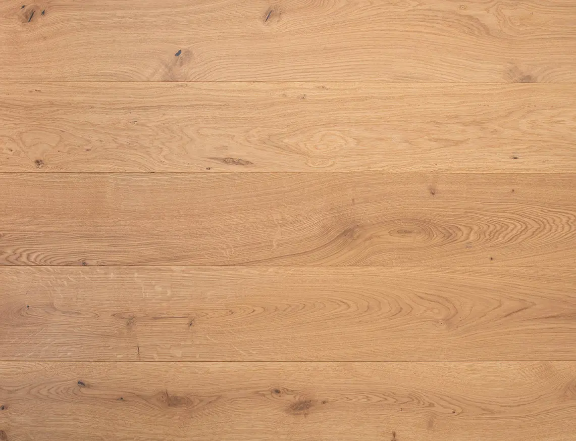 Burl Oak Engineered Oak